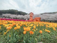 -苏州上方山国家森林公园