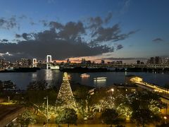 -台场海滨公园船码头