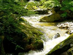 -黑河国家森林公园