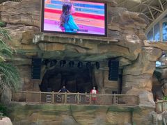 -杭州开元森泊度假乐园