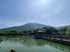 -无锡动物园·太湖欢乐园
