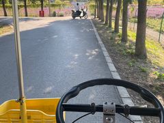 -嘉北郊野公园