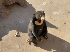 -北京野生动物园