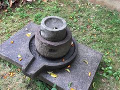 -碧江金楼