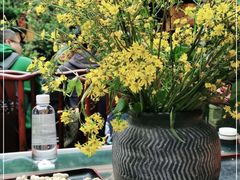 -华冠悠岚·庭院餐厅(青城后山店)