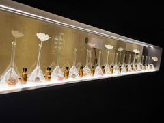 -安屿an·spa(卓悦中心商场店)