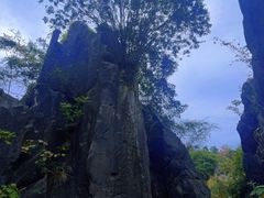 -玉石林风景区