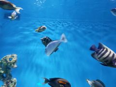 -上海海昌海洋公园