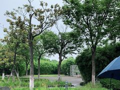 -白塘生态植物园