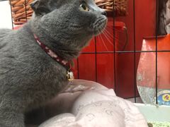 -星巴克(北京中关村北京国际店)