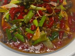 -雲蜀龙阁·金牌水煮鱼(方庄店)