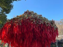 -狼山风景名胜区