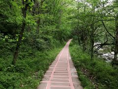 -嘉陵江源头景区