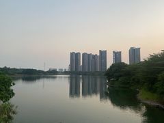 -广东花都湖国家湿地公园