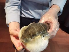 -肆月河豚·淮扬菜·湘菜(华天店)