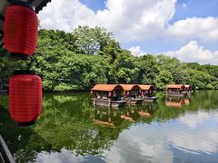 -侨美·唐荔园·40年地道粤菜