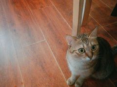 -H立方实景剧情密室(天河旗舰店)