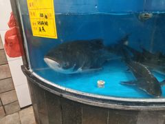 -天津瑞湾开元名都酒店餐厅