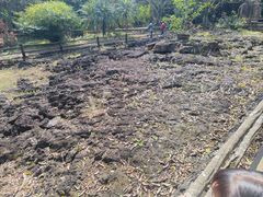 -海口火山口国家地质公园