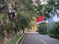 -海珠湖公园