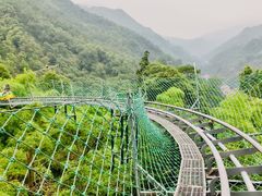 -藏龙百瀑风景区