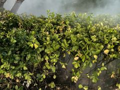 -潇湘府PLUS(大族广场店)