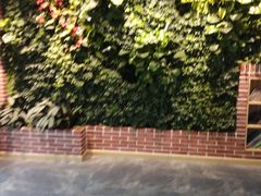 -蓝莓果幼儿园(通州梨园店)