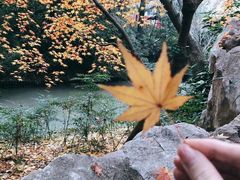 -汇龙潭