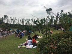 -枫香湖儿童公园