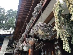 -寂照庵