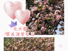 -元大都城垣遗址公园