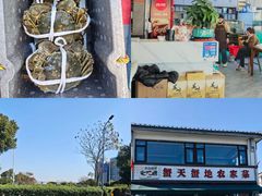 -蟹天蟹地农家菜·阳澄湖大闸蟹(浅水湾店)
