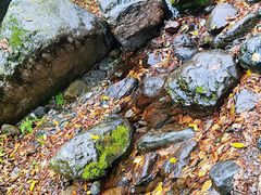 -云岫谷游猎自然风景区