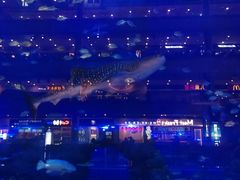 -成都浩海立方海洋公园