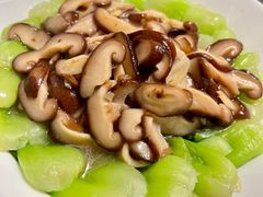 -好孕妈妈月嫂(哈尔滨总店)