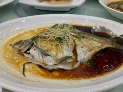 -龙悦湾酒家·八阵鱼生·渔人码头店