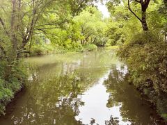 -西溪国家湿地公园