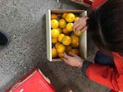 -叁宫礼水果批发仓储店(梅江店)