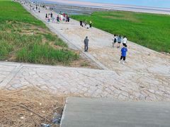 -南汇嘴观海公园