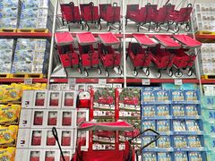 -山姆会员商店(上海浦东店)