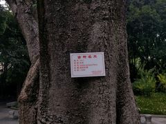 -柳侯公园