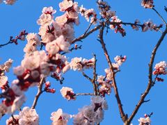 -江南大学(蠡湖校区)