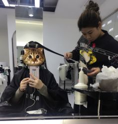 -尚·丹尼Hair