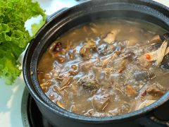 -蘑统田下·野生菌火锅