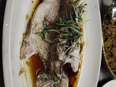 -东方御宴海鲜酒楼(棕泉酒店)