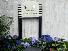 -青果巷历史文化街区