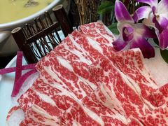 -金龙·打边炉(南京西路店)