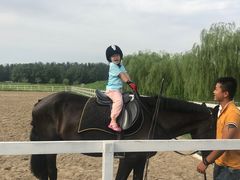 -月河湾马术俱乐部(朝阳店)