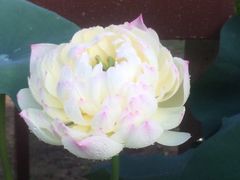 -龙环葡韵住宅式博物馆