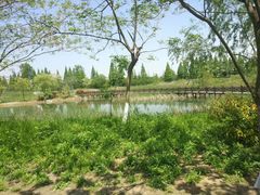 -泗洪洪泽湖湿地景区